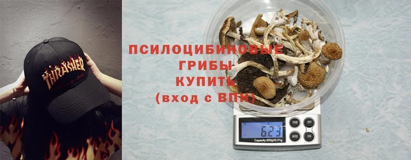 амф Абинск