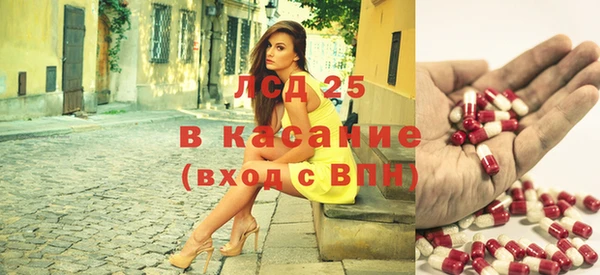сатива Арсеньев